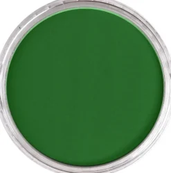 PanPastel Pastela sucha - 640.3 Permanent Green Shade