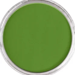 PanPastel Pastela sucha - 690.3 Yellow Green Shade ><noscript><img width=