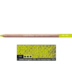 Caran d'Ache Pastela sucha w kredce Pastel Pencil - - 232, Middle Moss Green 10%