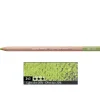 Caran d'Ache Pastela sucha w kredce Pastel Pencil - - 245, Light Olive 40% > Pastele