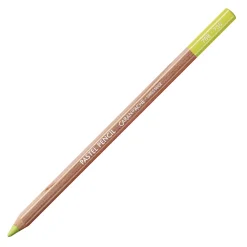 Caran d'Ache Pastela sucha w kredce Pastel Pencil - - 732, Brown Olive 10% ><noscript><img width=
