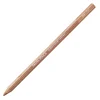 Caran d'Ache Pastela sucha w kredce Pastel Pencil - - 741, Dark Flesh 5%