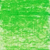 Van Gogh Pastel olejna - - 614.5, Permanent Green Medium > Pastele
