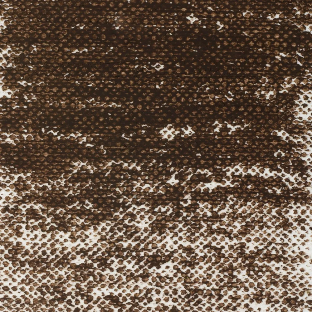 Van Gogh Pastel olejna - - 416.5, Sepia