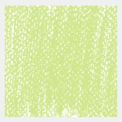 Rembrandt Pastel sucha Soft - - Olive Green 8 > Pastele