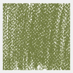 Rembrandt Pastel sucha Soft - - Permanent Green Light 3 > Pastele