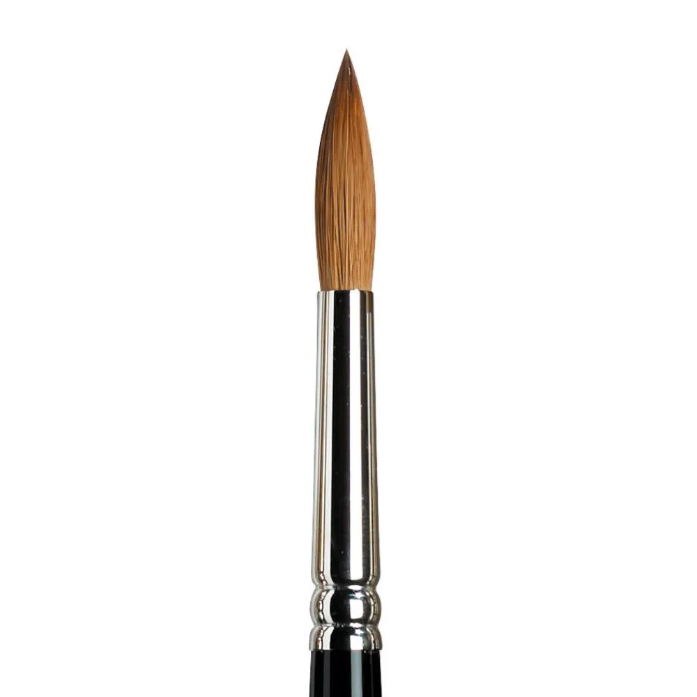 Winsor & Newton Pędzel do akwareli Kolinsky Sable, seria 7 - - krótka rączka, nr 8