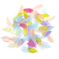dpCraft Pióra gęsie - - pastelowe, 6 cm, 5 g > Piórka Dekoracyjne