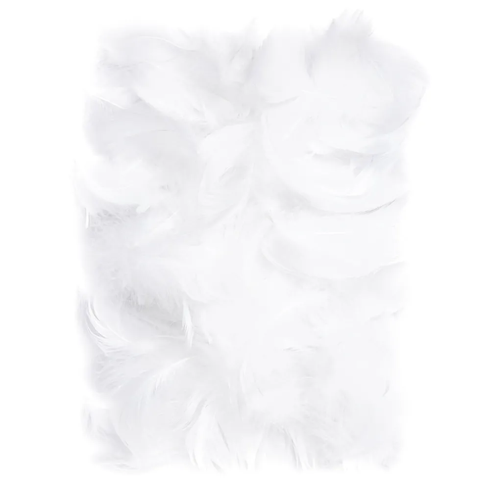 dpCraft Piórka dekoracyjne - - białe, 10 g > Piórka Dekoracyjne