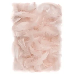 dpCraft Piórka dekoracyjne - - nude, 10 g > Piórka Dekoracyjne