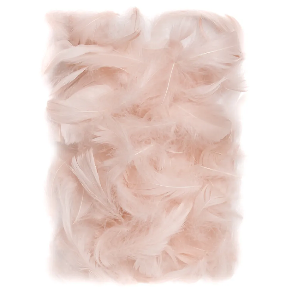 dpCraft Piórka dekoracyjne - - nude, 10 g > Piórka Dekoracyjne
