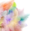 dpCraft Piórka dekoracyjne, kolorowe - - pastel, 5 g