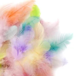 dpCraft Piórka dekoracyjne, kolorowe - - brights, 10 g > Piórka Dekoracyjne