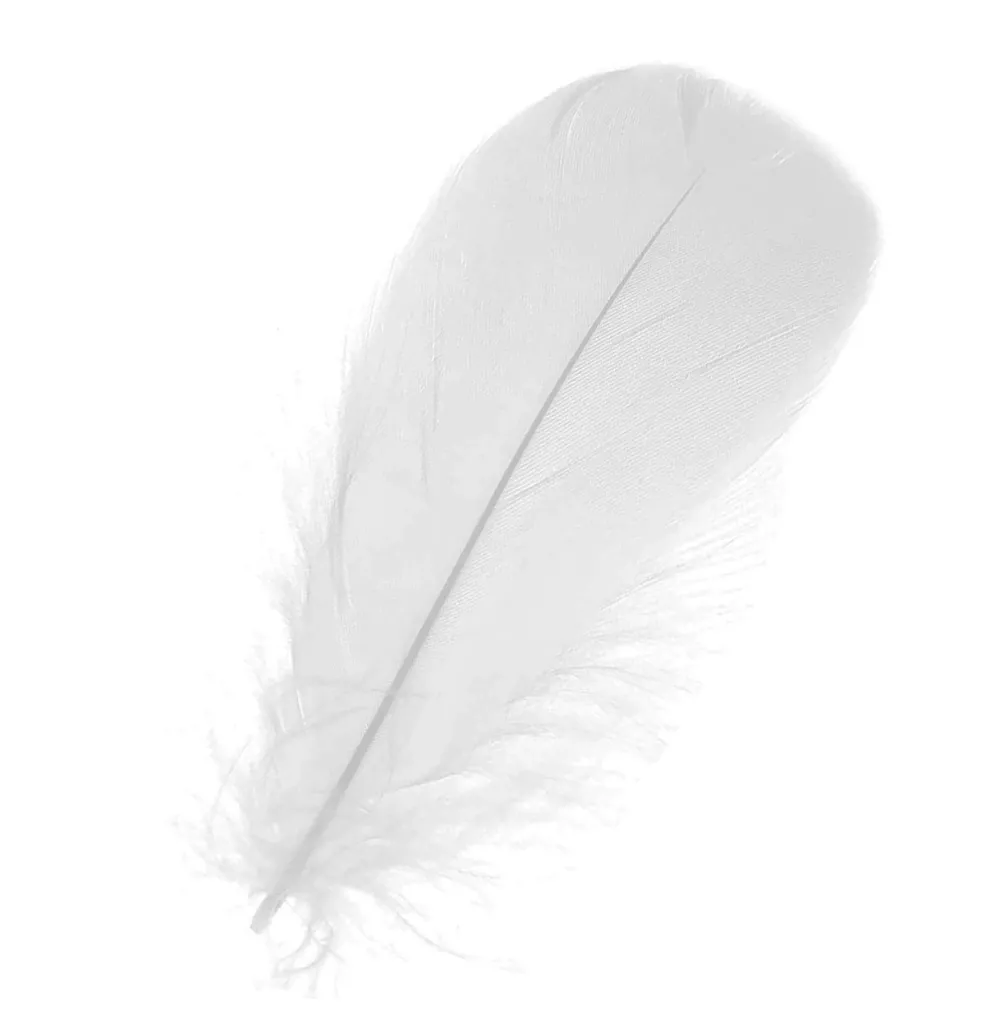 Piórka dekoracyjne, ozdobne - białe, 12 cm, 50 szt. > Piórka Dekoracyjne