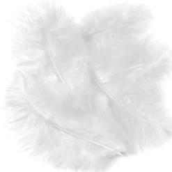 dpCraft Piórka indycze - - białe, 15 cm, 5 szt. > Piórka Dekoracyjne