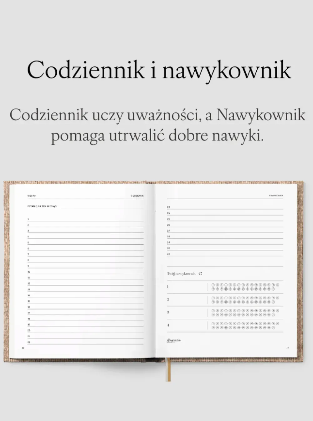 Jasnie Plan Planer Jaśnie Plan niedatowany - grafitowy > Planery Niedatowane