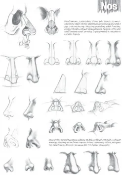 KOH-I-NOOR Poradnik Leonardo Compact Series - - Podstawy Rysunku, Tom 3
