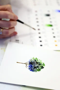Winsor & Newton Próbnik farb Dot Card Professional Watercolour - - 109 kolorów ><noscript><img width=