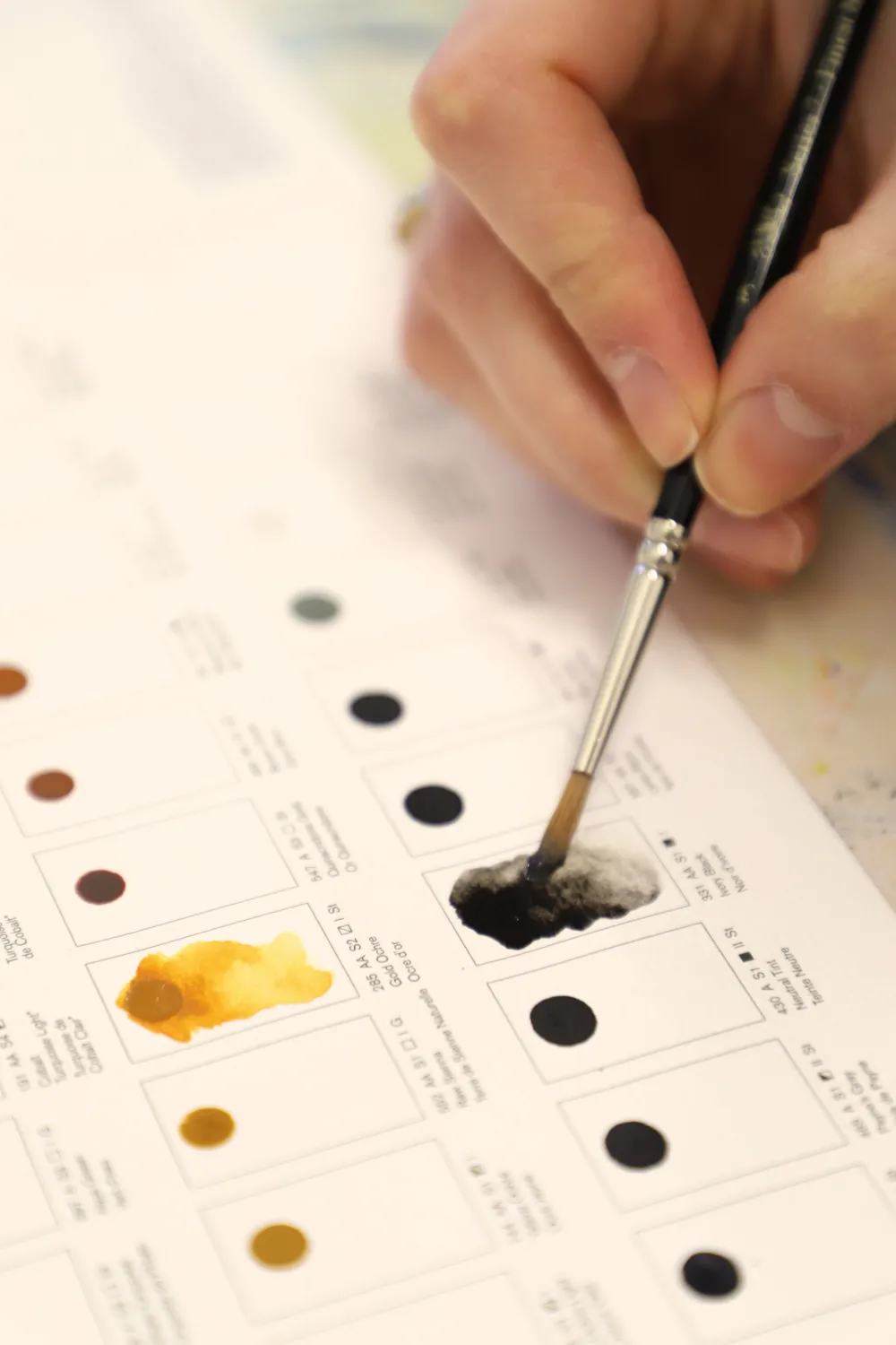 Winsor & Newton Próbnik farb Dot Card Professional Watercolour - - 109 kolorów > Farby Akwarelowe