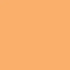 Winsor & Newton Promarker Brush - - Apricot
