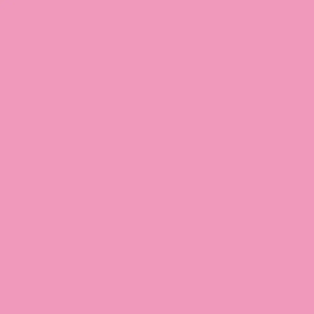 Winsor & Newton Promarker Brush - - Rose Pink