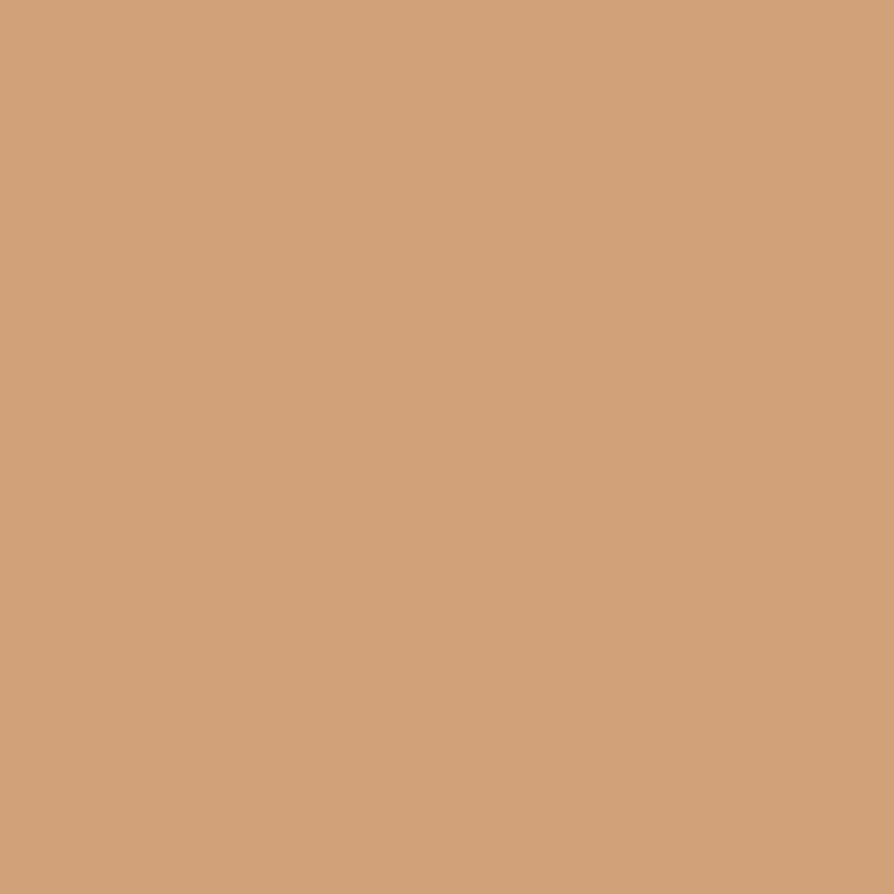 Winsor & Newton Promarker Brush - - Cinnamon