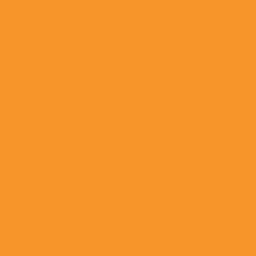 Winsor & Newton Promarker Brush - - Amber
