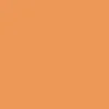 Winsor & Newton Promarker - - Ginger > Markery, Brushpeny I Pisaki