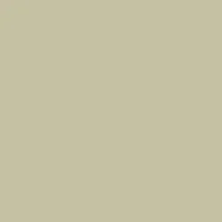 Winsor & Newton Promarker - - Khaki