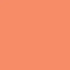 Winsor & Newton Promarker - - Peach