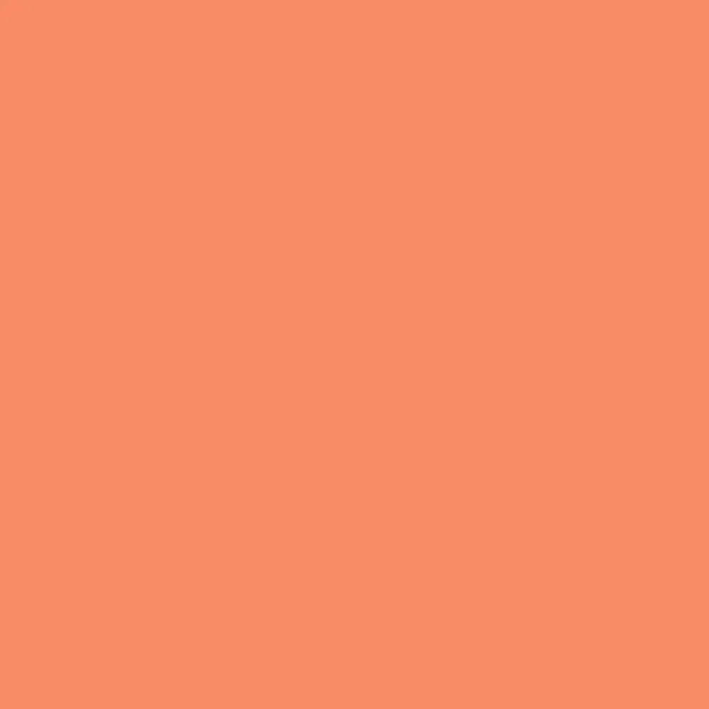 Winsor & Newton Promarker - - Peach