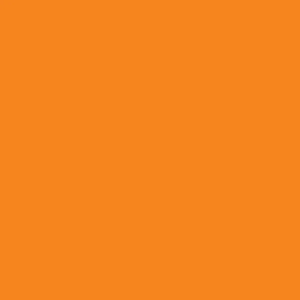Winsor & Newton Promarker - - Pumpkin