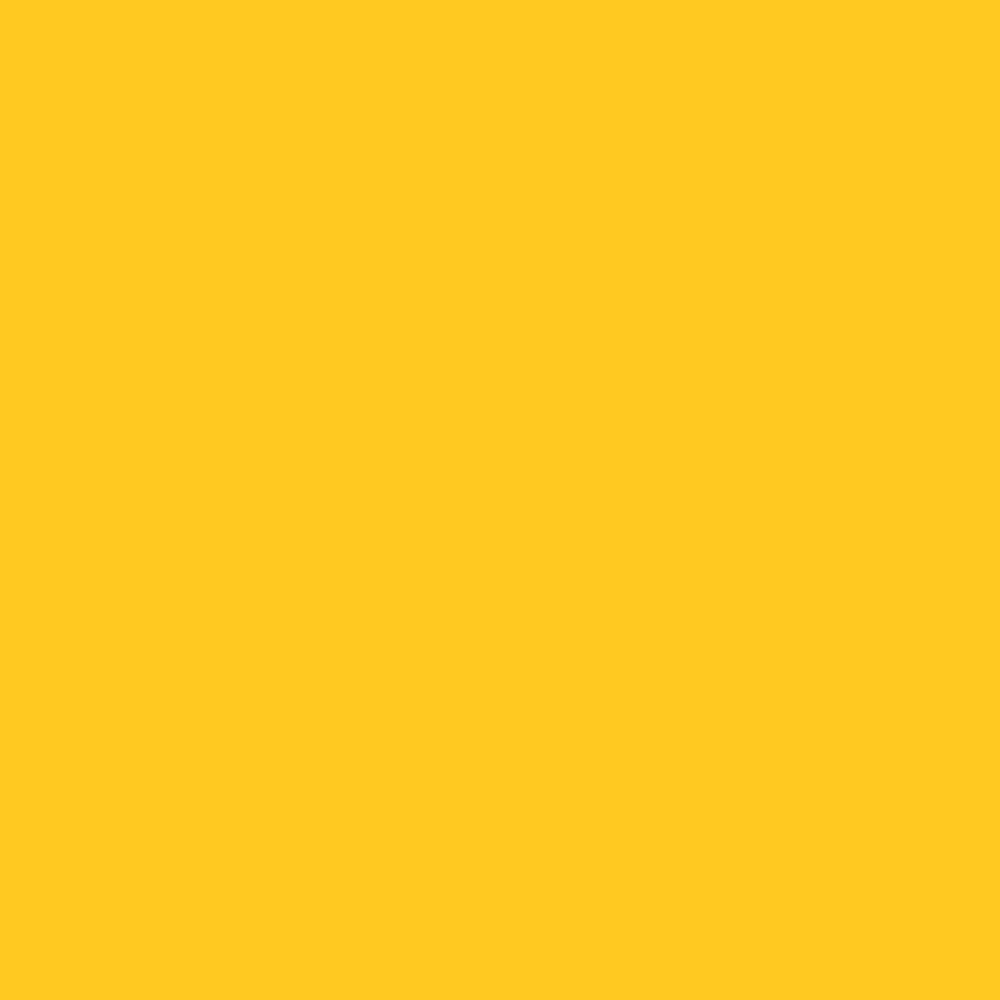 Winsor & Newton Promarker - - Sunflower