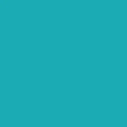 Winsor & Newton Promarker - - Turquoise