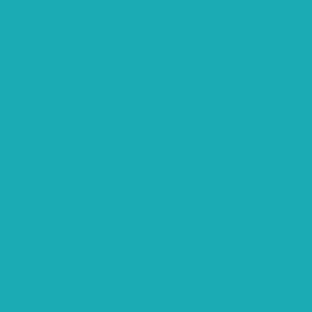 Winsor & Newton Promarker - - Turquoise