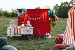 PartyDeco Rozety dekoracyjne Cyrk - 26-43 cm, 5 szt. ><noscript><img width=