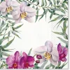 PAW Decor Collection Serwetki ozdobne - Paw - Elegant Orchid, 20 szt. > Serwetki