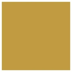 PAW Decor Collection Serwetki ozdobne - Paw - Monocolor Gold, 20 szt.