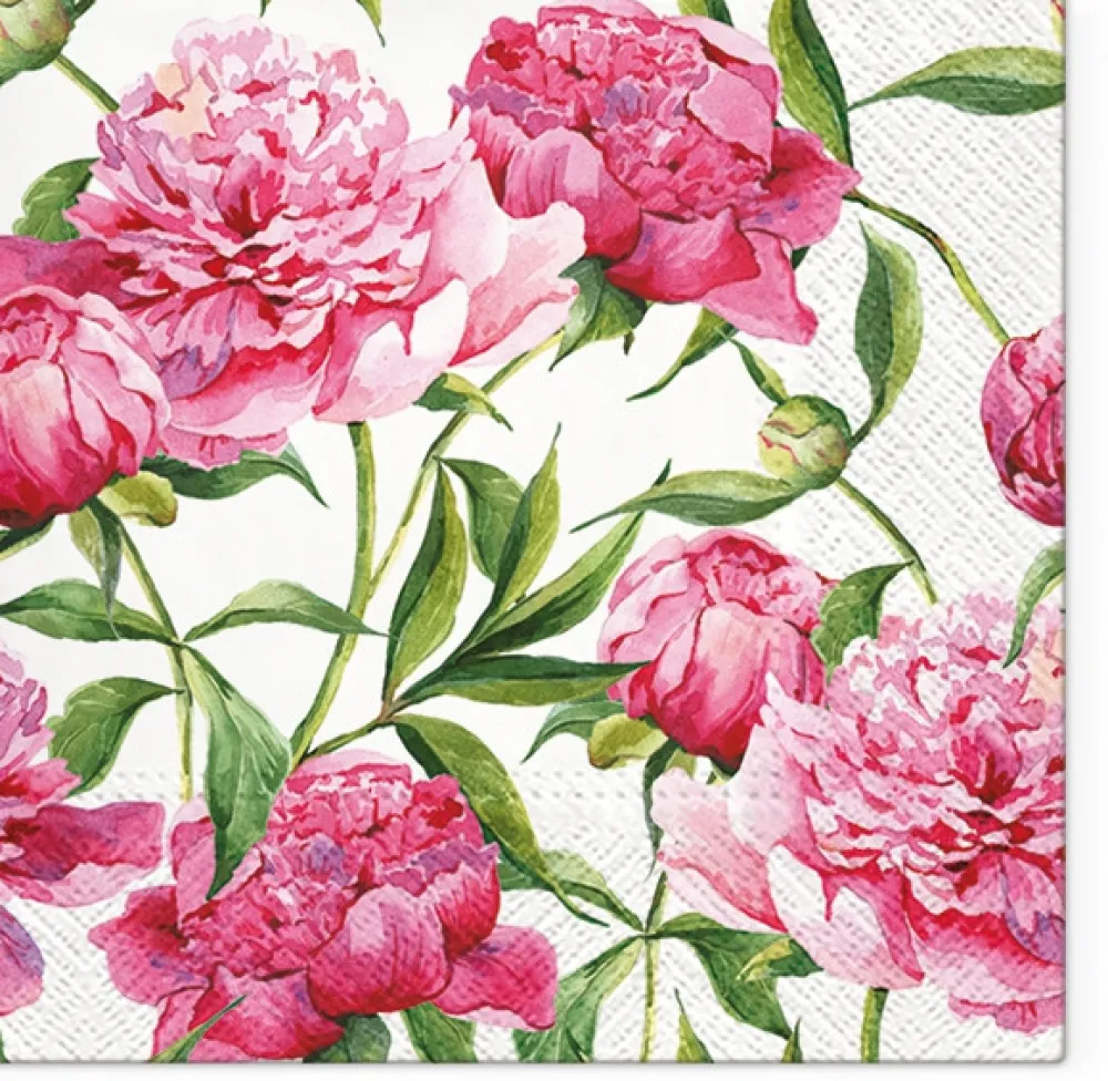 PAW Decor Collection Serwetki ozdobne - Paw - Pink Peonies, 20 szt. > Serwetki