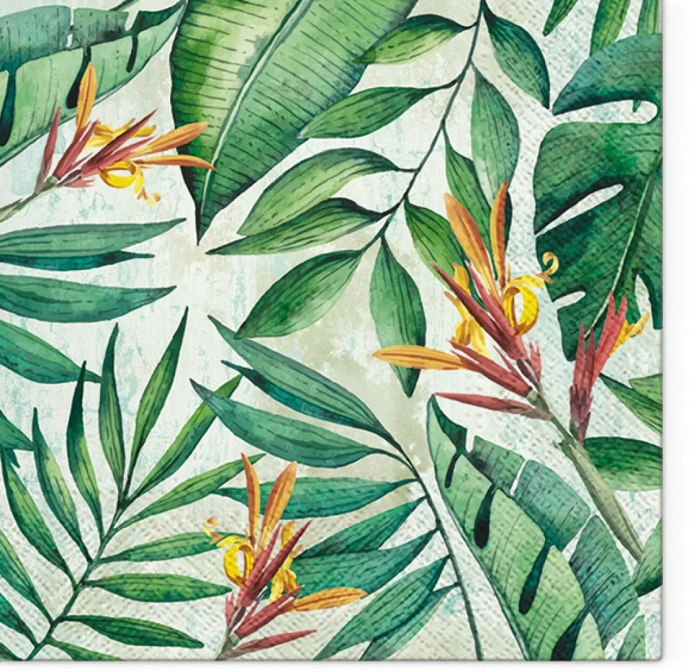 PAW Decor Collection Serwetki ozdobne - Paw - Tropical Garden, 20 szt. > Serwetki