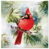 PAW Decor Collection Serwetki ozdobne - Paw - Winter Cardinal, 33 x 33 cm, 20 szt.
