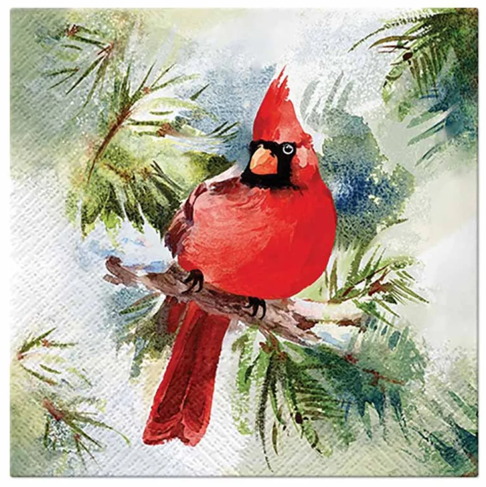 PAW Decor Collection Serwetki ozdobne - Paw - Winter Cardinal, 33 x 33 cm, 20 szt.