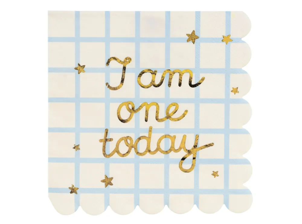 PartyDeco Serwetki papierowe I Am One Today - 16,5 x 16,5 cm, 12 szt. > Serwetki