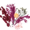 dpCraft Suszone kwiaty dekoracyjne - - bordo/róż, 5-10 cm