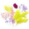 dpCraft Suszone kwiaty dekoracyjne - - 5-10 cm, 8 szt.