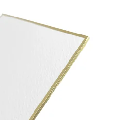 Holbein Tablica malarska akwarelowa Shikishi White Ibis 12 x 13,5 cm - - 300 g 5 szt.