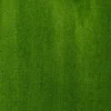 Liquitex Tusz akrylowy - - Sap Green Permanent, 30 ml > Farby Akrylowe