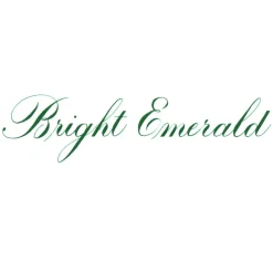 Speedball Tusz do kaligrafii India Ink - - Bright Emerald 29 ml