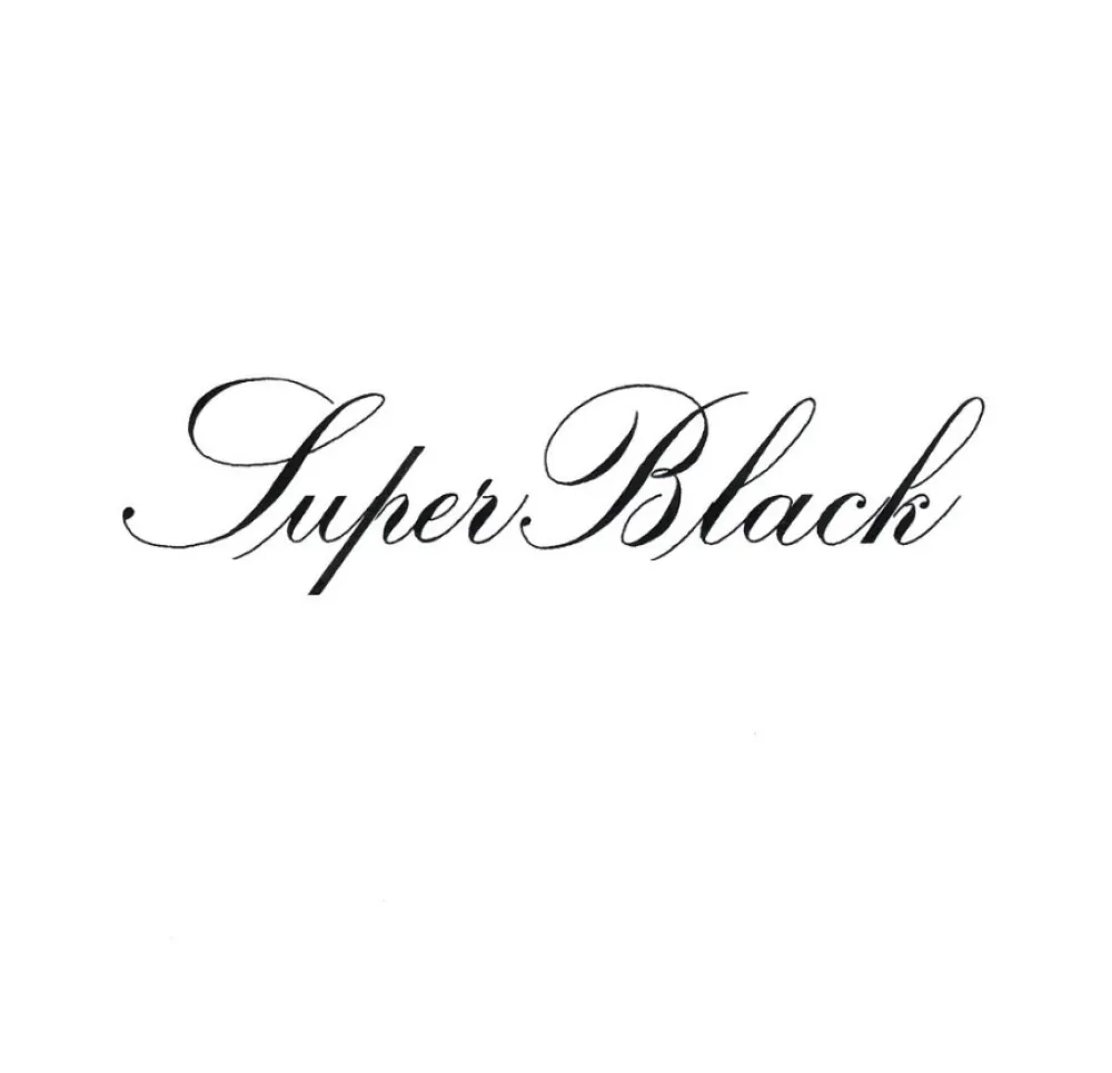 Speedball Tusz do kaligrafii India Ink - - Super Black 946 ml > Tusze Do Kaligrafii