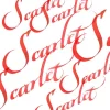 Winsor & Newton Tusz do kaligrafii - - scarlet, 30 ml